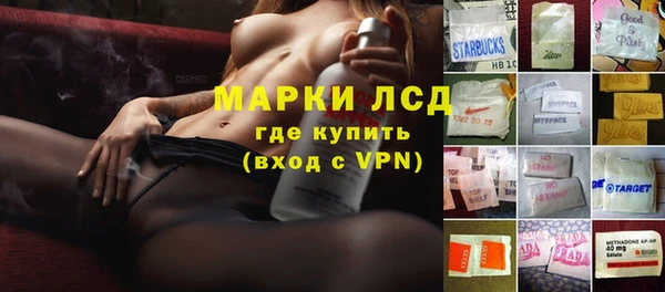 сатива Армянск