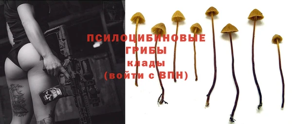 метамфетамин Богородицк