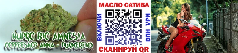 ТГК гашишное масло  MEGA маркетплейс  Чудово 