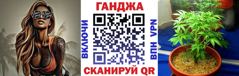 сколько стоит  ссылка на мегу зеркало  Марихуана White Widow  мориарти какой сайт  Чудово 